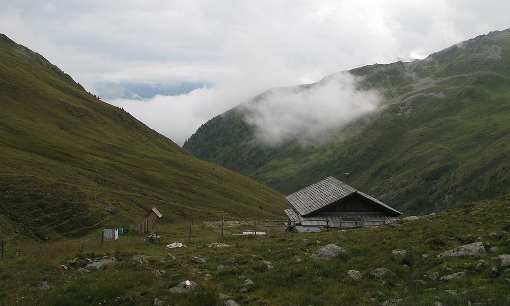 donnerstein